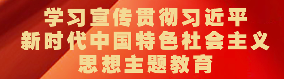 新时代中国特色社会主义思想主题教育