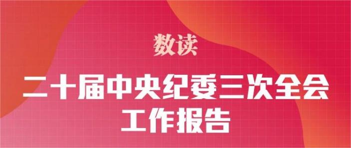 数读二十届中央纪委三次全会工作报告