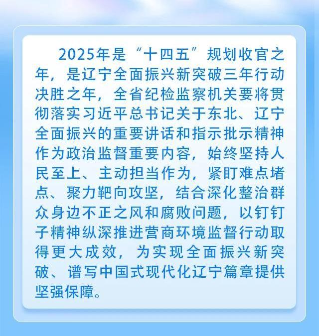 1.党风廉政-廉洁文化（面向社会）-一图读懂丨辽宁省纪委监委2025年营商环境监督行动方案(1)(1)(2).jpg